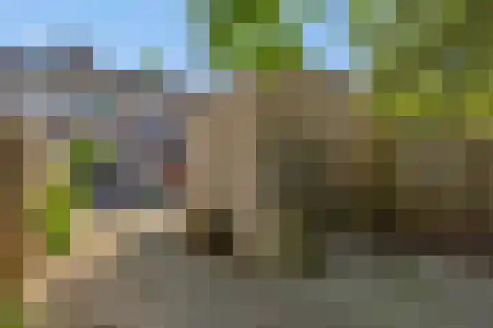 Baronie 39 Oss thumbnail 24