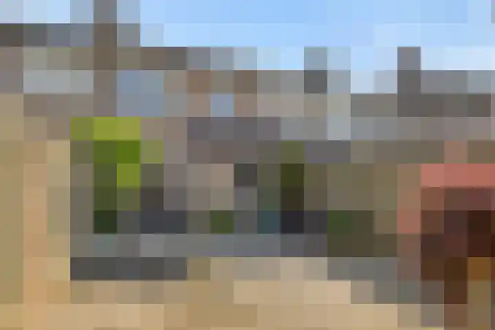 Baronie 39 Oss thumbnail 25