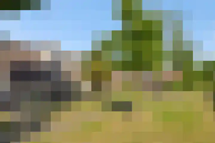 Baronie 39 Oss thumbnail 27