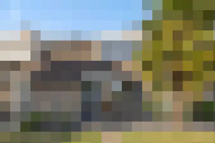 Baronie 39 Oss thumbnail 28
