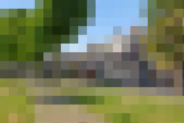 Baronie 39 Oss thumbnail 29
