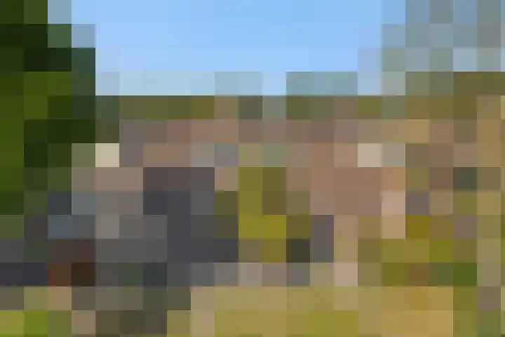 Baronie 39 Oss thumbnail 31