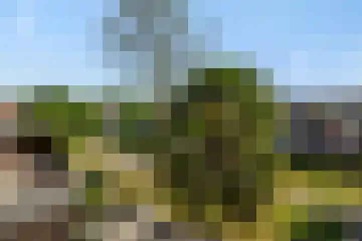 Baronie 39 Oss thumbnail 34