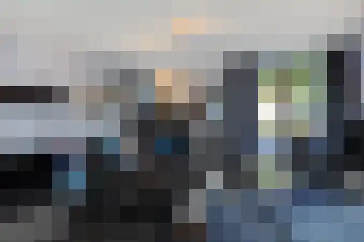 Baronie 39 Oss thumbnail 6