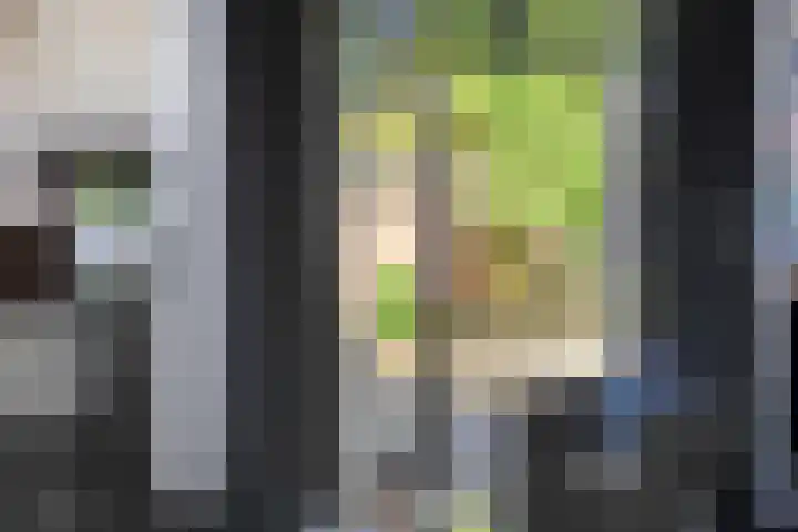 Baronie 39 Oss thumbnail 7