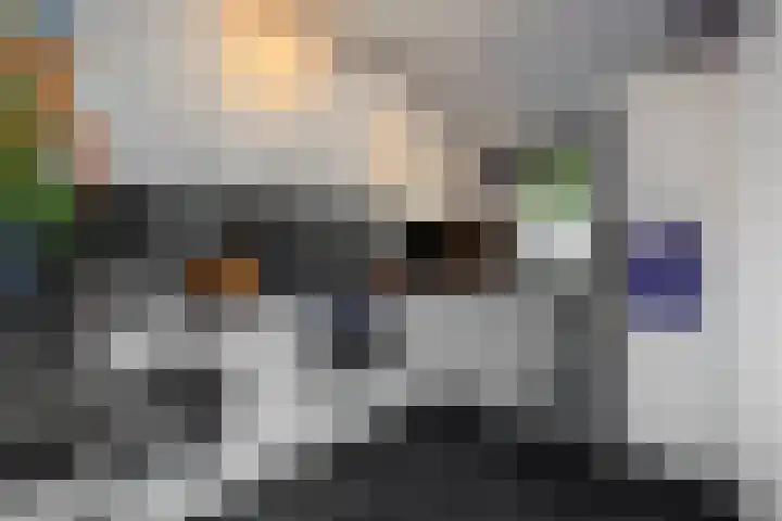 Baronie 39 Oss thumbnail 9