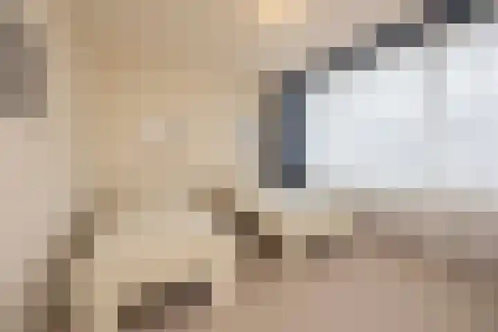 Baroniesingel 15 Vught thumbnail 19