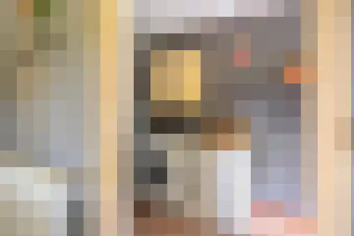 Barsweg 12 Hollandscheveld thumbnail 20