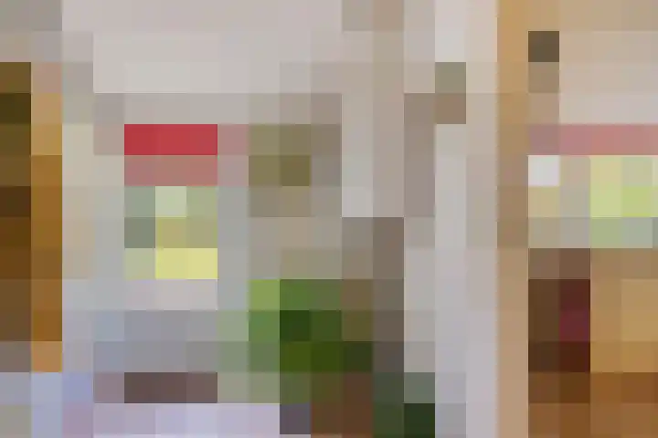 Barsweg 12 Hollandscheveld thumbnail 21