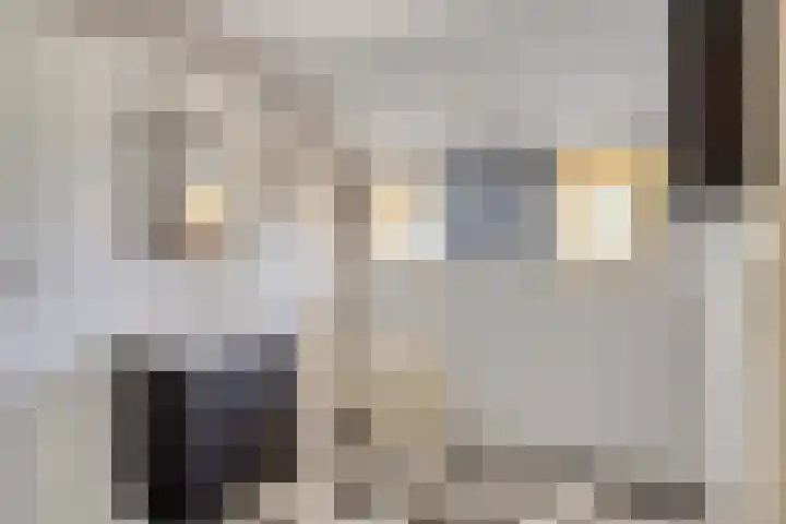 Barsweg 12 Hollandscheveld thumbnail 24