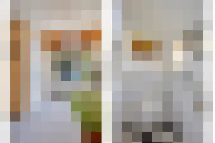 Barsweg 12 Hollandscheveld thumbnail 27