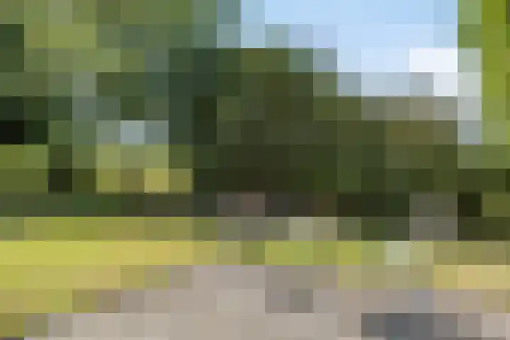 Barsweg 12 Hollandscheveld thumbnail 34