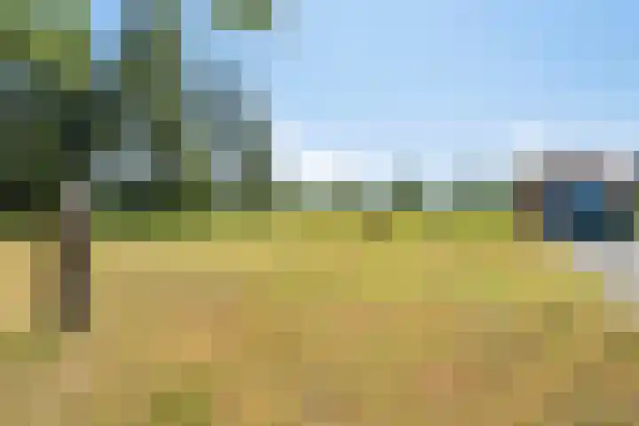 Barsweg 12 Hollandscheveld thumbnail 38