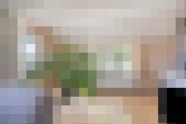 Barsweg 12 Hollandscheveld thumbnail 7