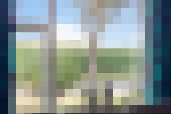 Barsweg 12 Hollandscheveld thumbnail 9