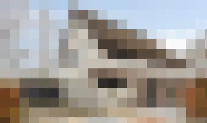 Bart Bokhorststraat 32 Deventer