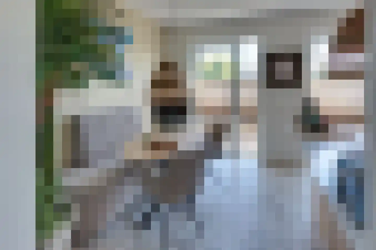 Bart Koekstraat 7 Harderwijk thumbnail 11
