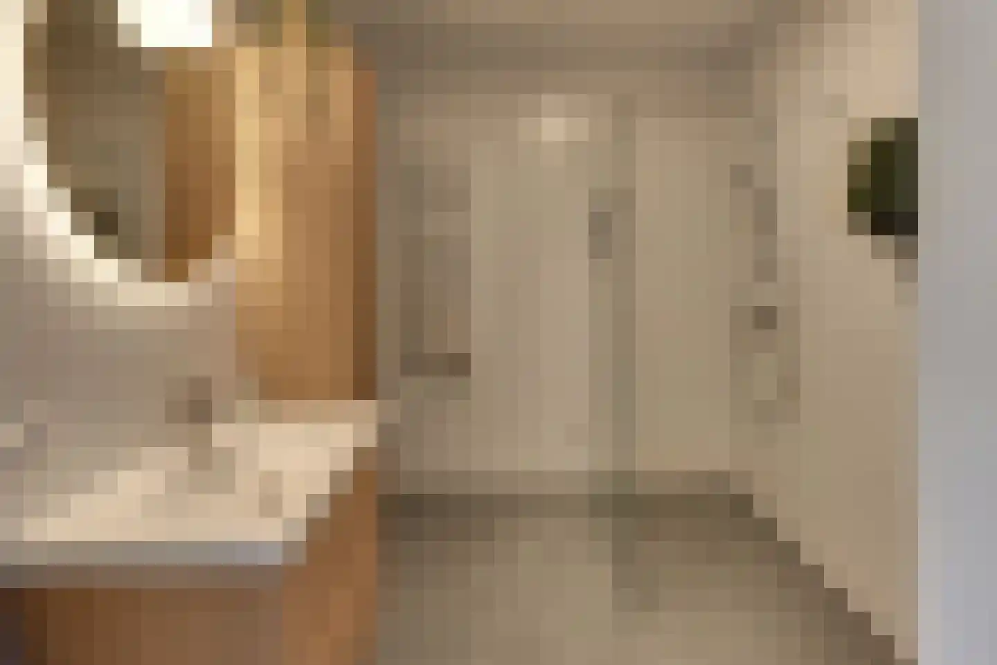 Bart Koekstraat 7 Harderwijk thumbnail 40