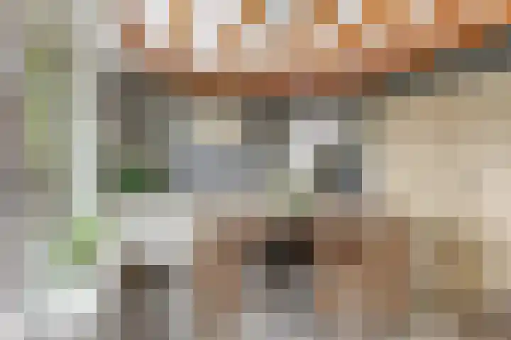 Bartelbaan 2 Ulicoten thumbnail 11