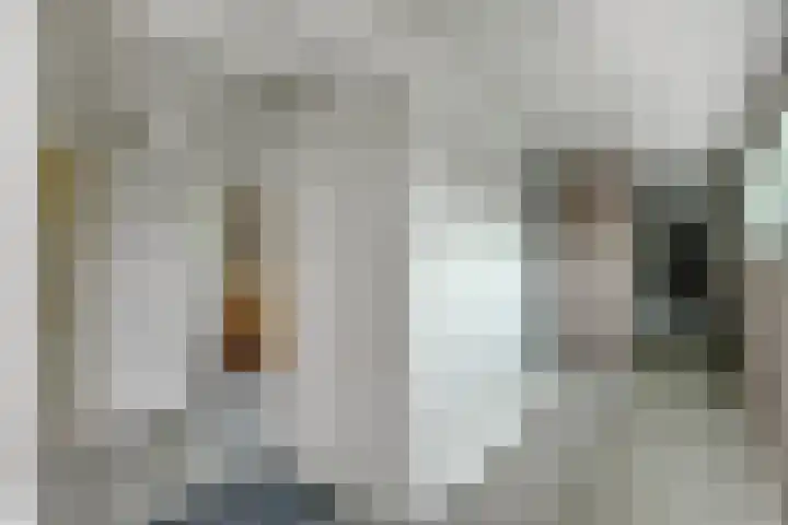 Bartelbaan 2 Ulicoten thumbnail 12