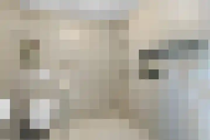 Bartelbaan 2 Ulicoten thumbnail 15
