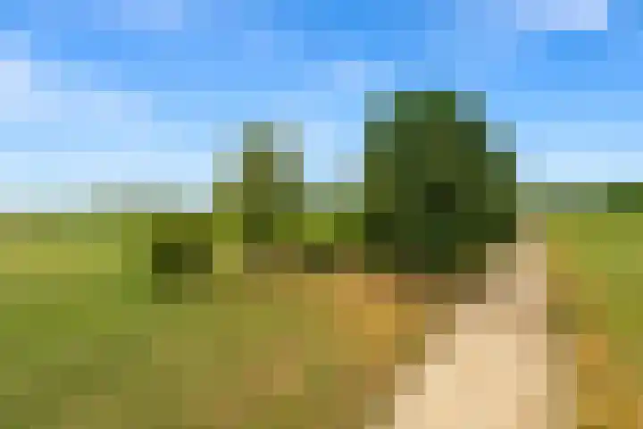 Bartelbaan 2 Ulicoten thumbnail 23