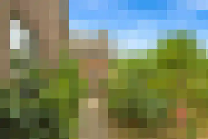 Bartelbaan 2 Ulicoten thumbnail 28