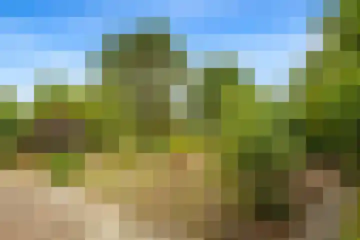 Bartelbaan 2 Ulicoten thumbnail 31