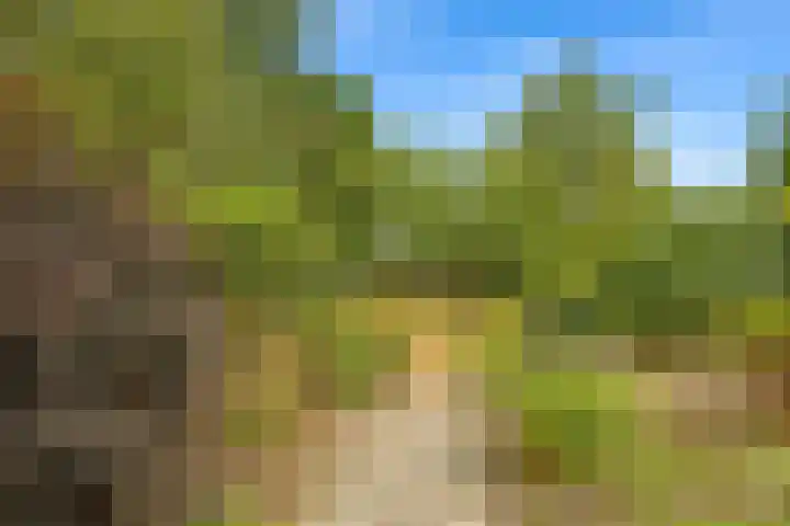 Bartelbaan 2 Ulicoten thumbnail 32