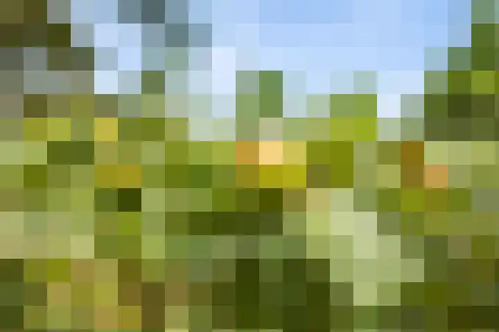 Bartelbaan 2 Ulicoten thumbnail 33