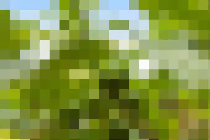 Bartelbaan 2 Ulicoten thumbnail 34