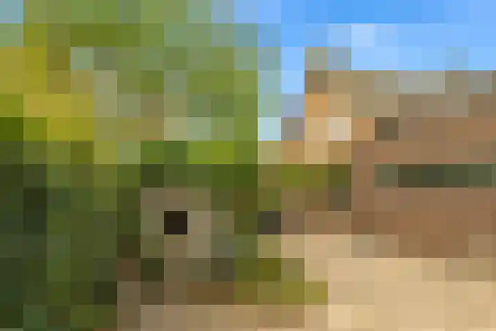 Bartelbaan 2 Ulicoten thumbnail 35