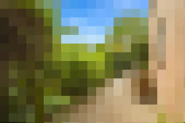 Bartelbaan 2 Ulicoten thumbnail 36