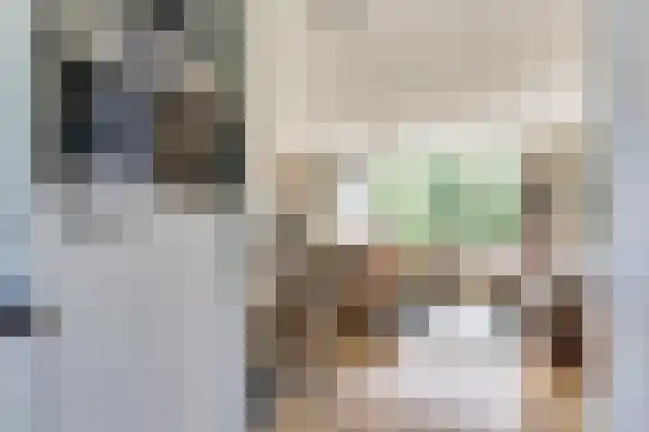 Bartelsstraat 18 Melick thumbnail 15