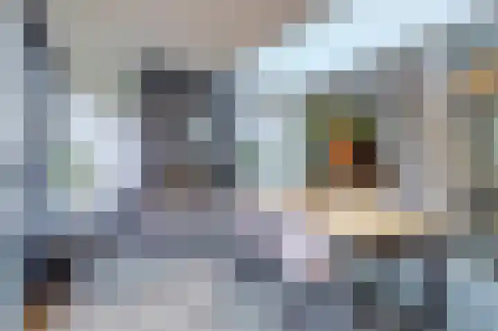 Bartelsstraat 20 Melick thumbnail 13