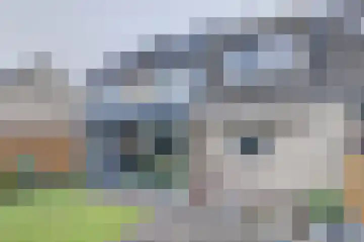 Bartelsstraat 20 Melick thumbnail 32