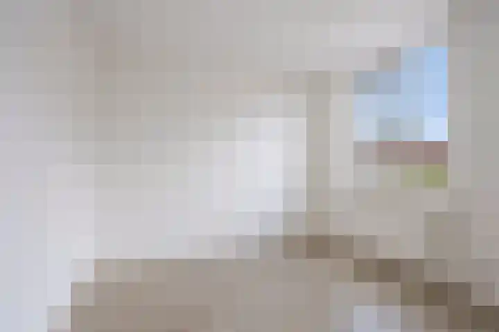 Barten 44 Heerenveen thumbnail 21