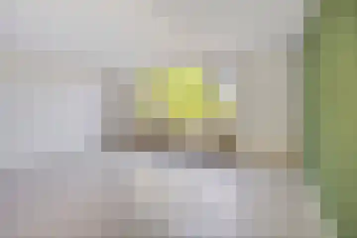 Barten 69 Heerenveen thumbnail 14