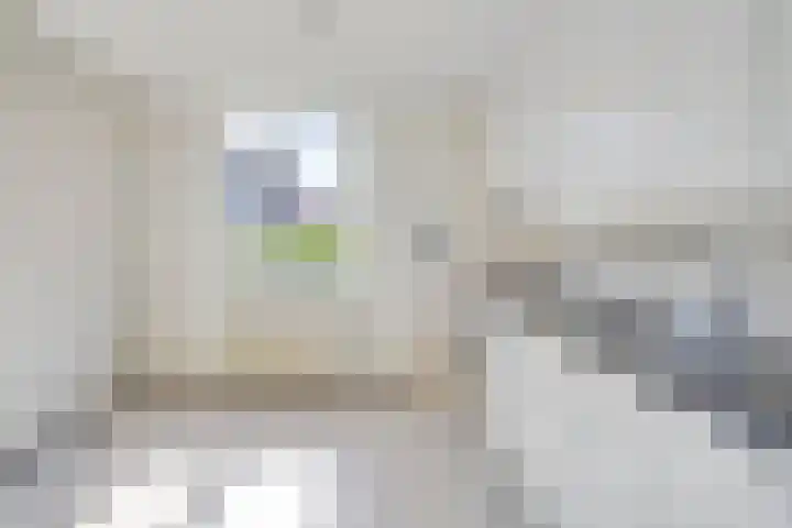 Barten 69 Heerenveen thumbnail 20