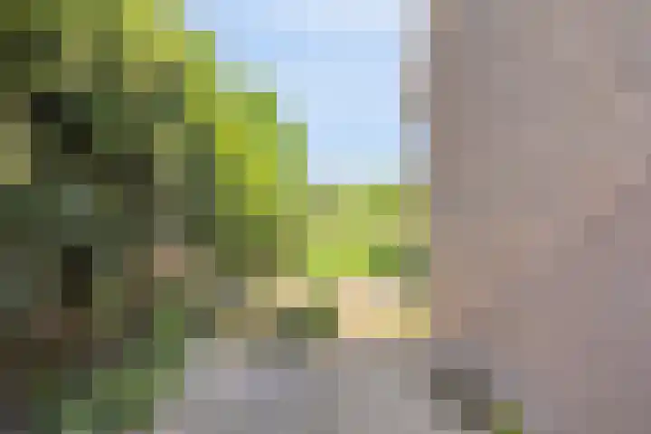 Barten 69 Heerenveen thumbnail 36