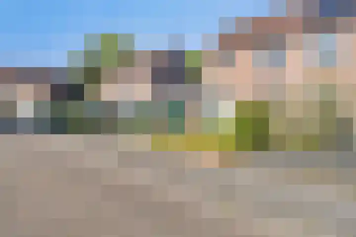 Barten 69 Heerenveen thumbnail 8