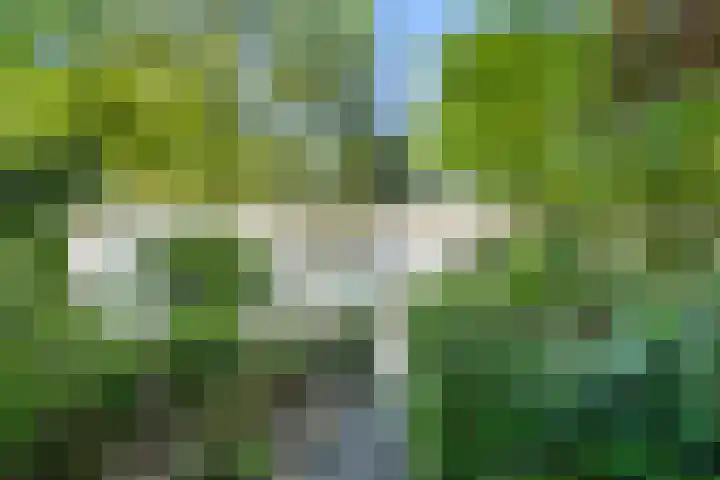 Barteweg 15 R 106 Ede thumbnail 20