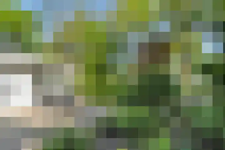 Barteweg 15 R 106 Ede thumbnail 23