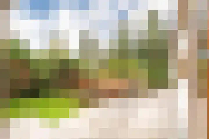Barteweg 15 R 386 Ede thumbnail 4