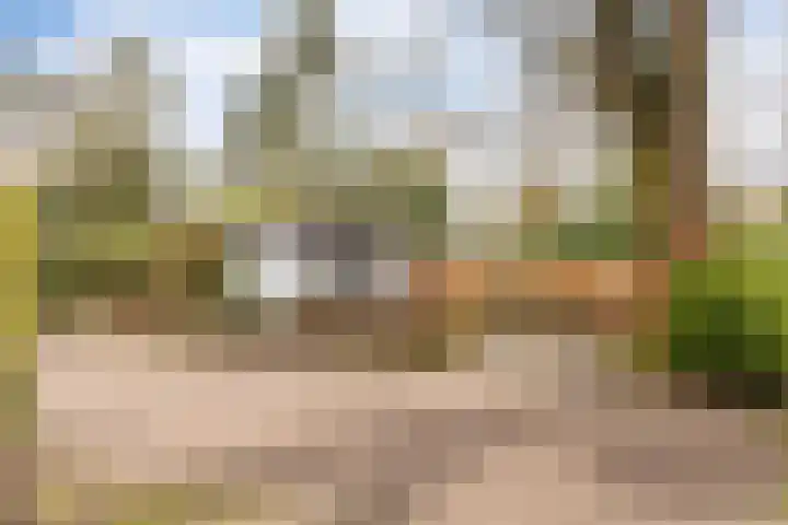 Barteweg 15 R 396 Ede thumbnail 23