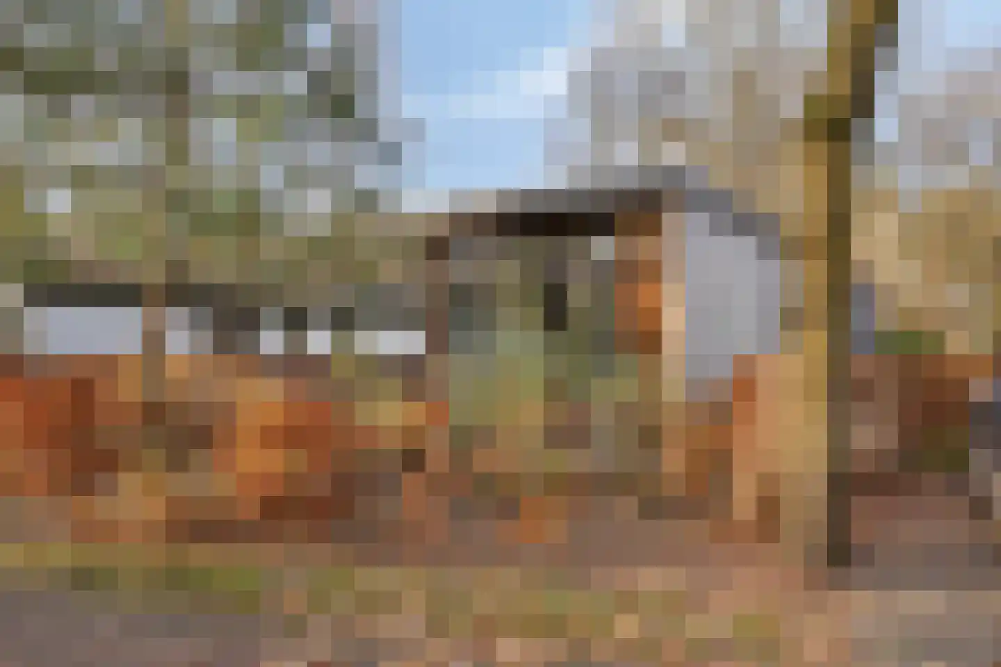 Barteweg 15 R 55 Ede thumbnail 24