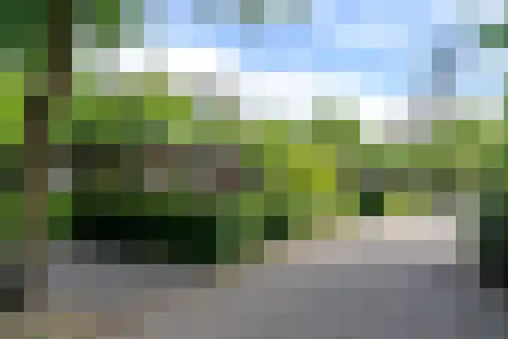 Barteweg 15 R 56 Ede thumbnail 17