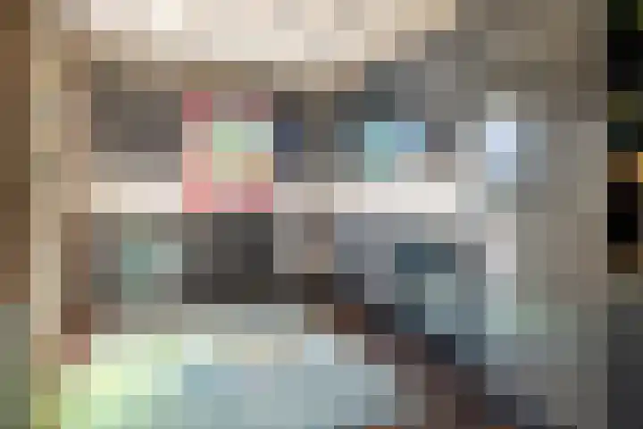 Bartholemeusstraat 38 Born thumbnail 10