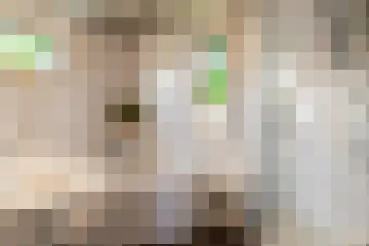 Bartholemeusstraat 38 Born thumbnail 17