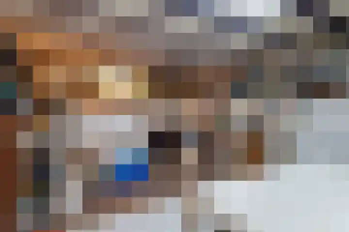 Bartholemeusstraat 38 Born thumbnail 23